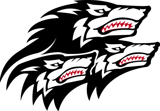 North Carolina State Wolfpack 1999-2005 Alternate Logo diy iron on heat transfer